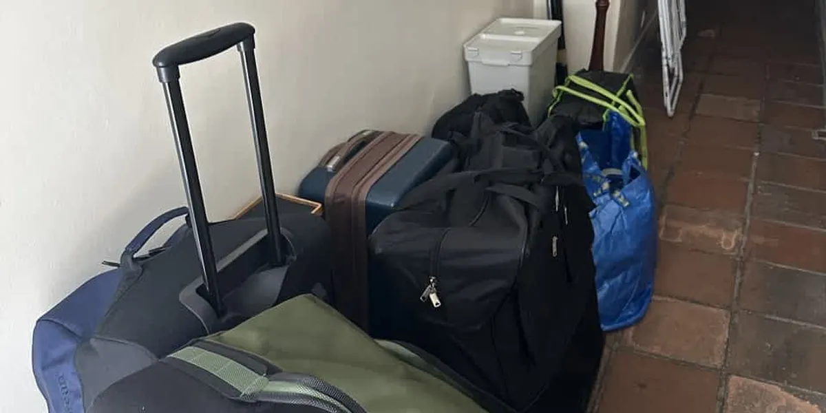 Pests Forced Us Out of Our Paris Apartment